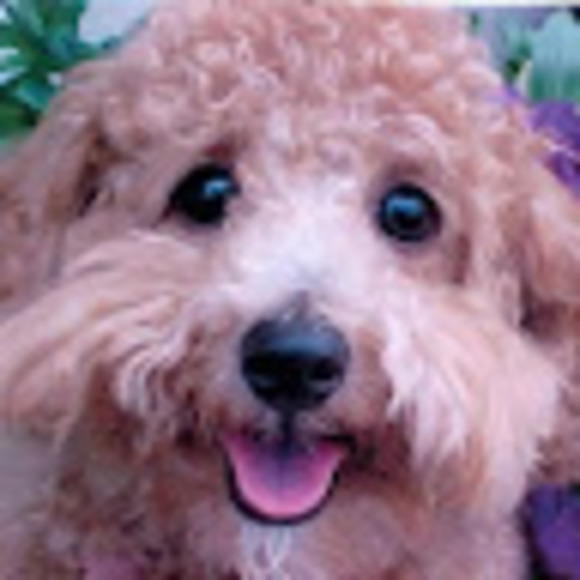 Meet your Posher, Mary - Picture 1 of 1